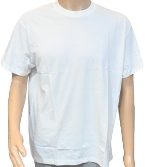 Velilla Plain White Shirt